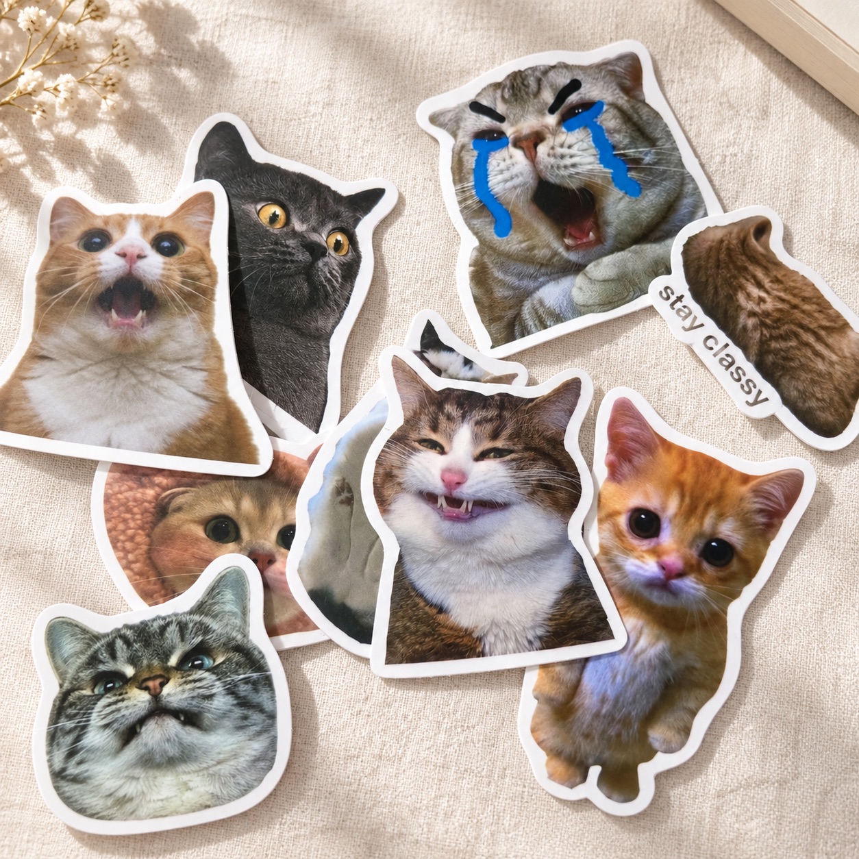 Sticker-Set »Katzenchaos« – ergänzende Ansicht 1 – Dekoration außerhalb des Produkts nicht enthalten